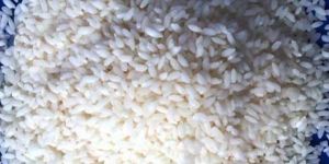 Gobindobhog Brown Rice