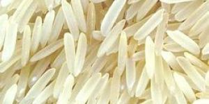 Basmati Rice