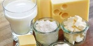 Dairy Products