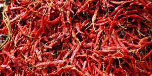 Dry Red Chilli