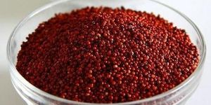 Finger Millet Seeds