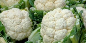 Fresh Cauliflower
