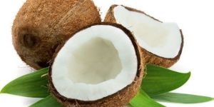 Fresh Coconut