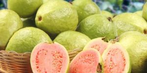 Fresh Guava