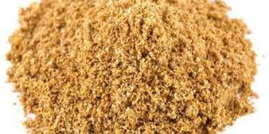 Organic Coriander Powder