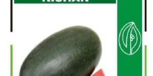 Kishan F1 Watermelon Seeds