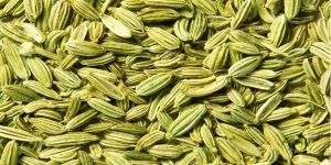 Fennel Seeds