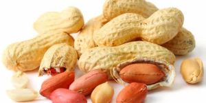 Peanut