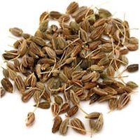 Fennel Seeds
