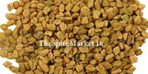 Fenugreek