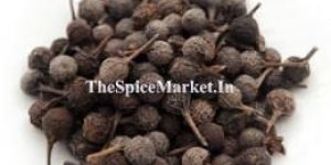 Kabab Chini (Cubeb-Tailed Pepper)