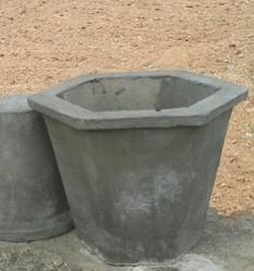 Cement Pot