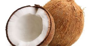 Fresh Coconut