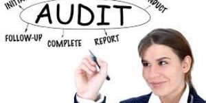Charities & Not For Profit Organization Audit Services