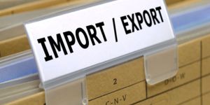 Import & Export Licensing Services