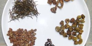 Rajasthani Dry Vegetables