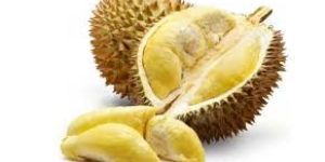 Fresh Durian Fruit