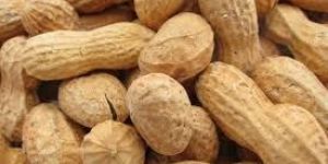Shelled Groundnuts