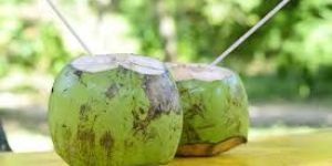 Tender Coconut