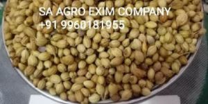 Indian Coriander Seeds