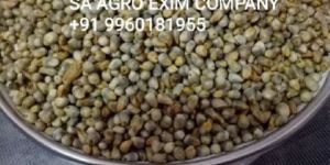 Organic Bajra Seeds