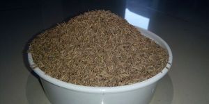 Cumin Seed