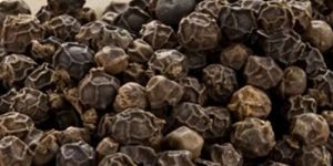 Black Pepper Seeds