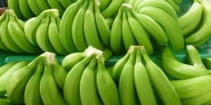 Fresh Green Banana