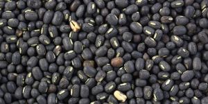 Black Urad Dal