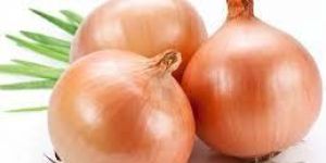 Fresh Onion