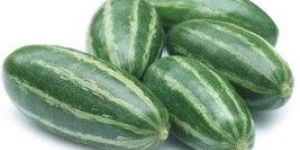Fresh Pointed Gourd
