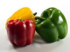 Fresh Vegetables