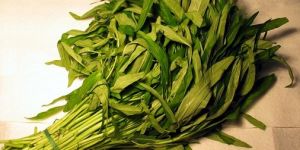 Fresh Small Spinach Leaves