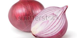 Onion