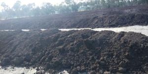 Press Mud Compost