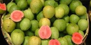 Fresh Guava
