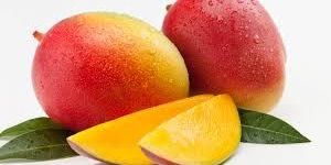Fresh Mango