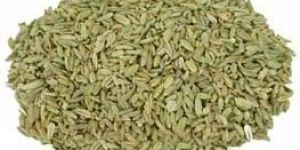 Fennel Seeds