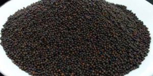 Black Mustard Seeds