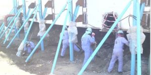 Tank Foundation Repair Jack