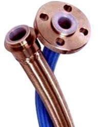SS Braided Teflon Hoses