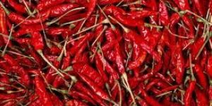 Dry Red Chilli