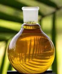 Palm Kernel Oil