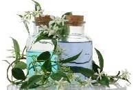 Natural Perfumes