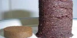 Coco Peat Round Discs