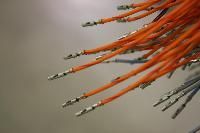 Wire Harness Assembly