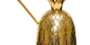Brass Pineapple Mug