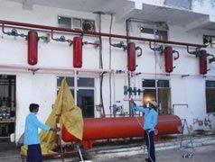 Spider Control Services