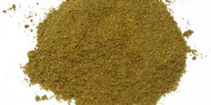 Coriander Powder