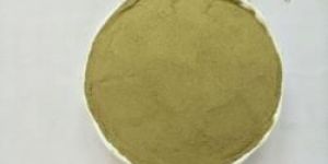 Dehydrated Coriander Leaves Powder